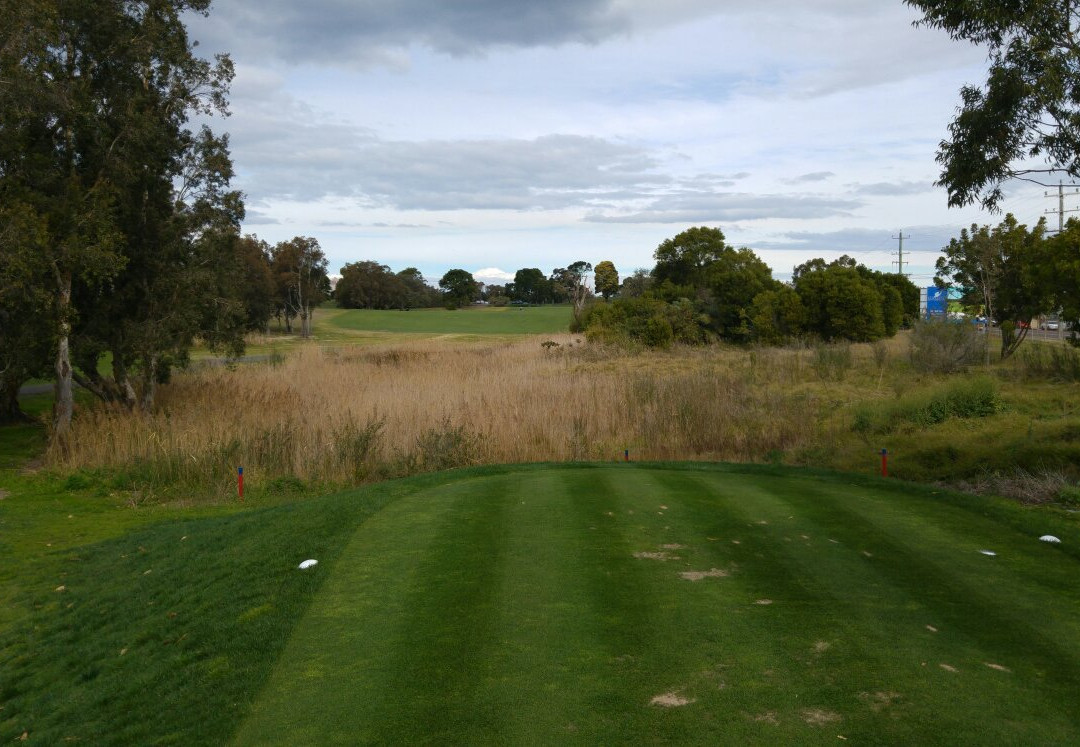 Newcastle Golf Club-Fern Bay必去景点