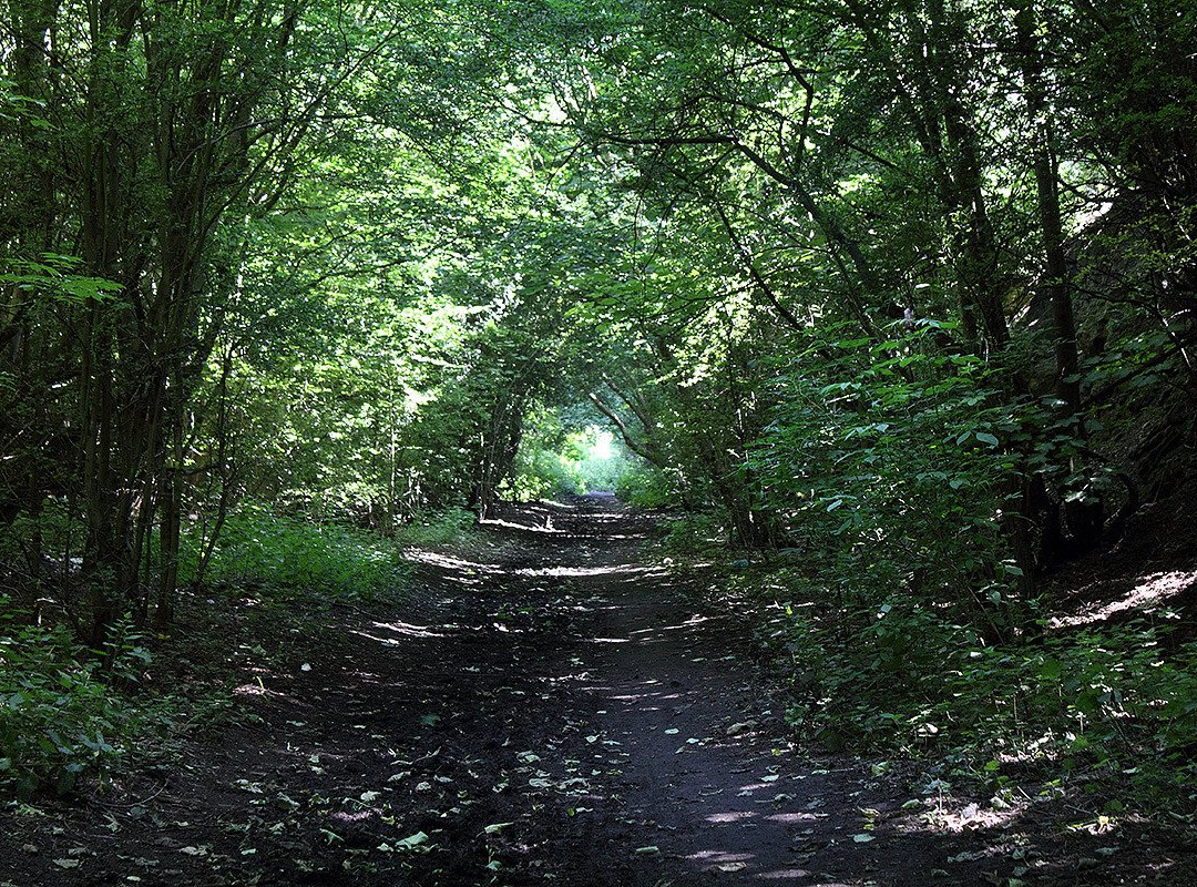 Upton Country Park景点图片