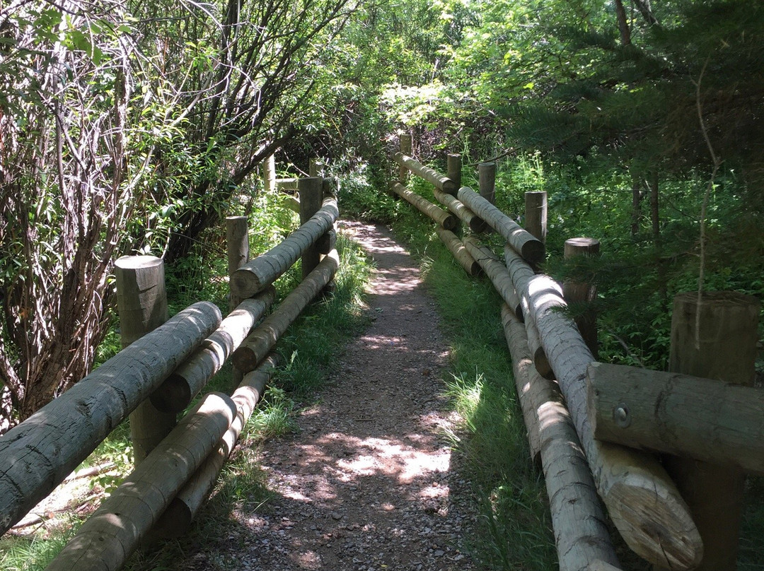 Sandia Man Cave-Placitas必去景点