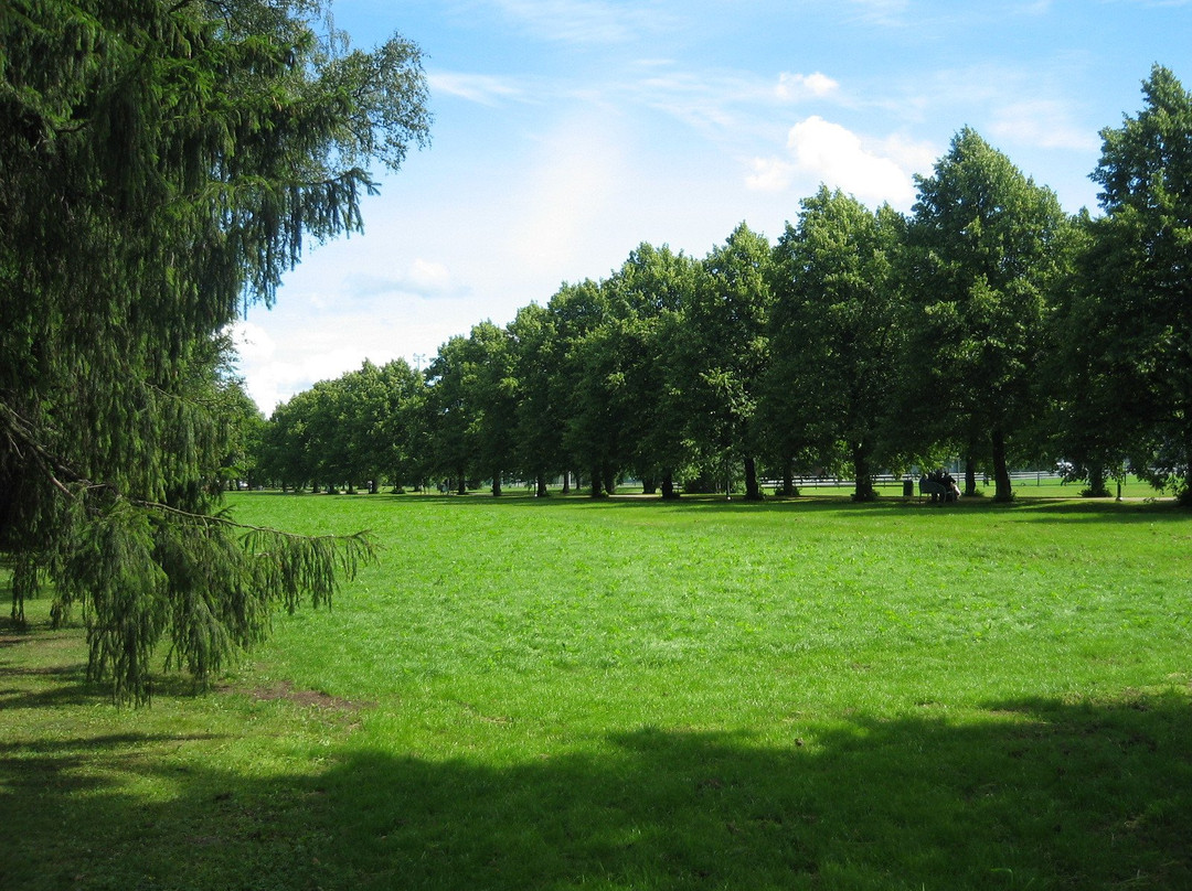 Kupittaa Park-土尔库必去景点