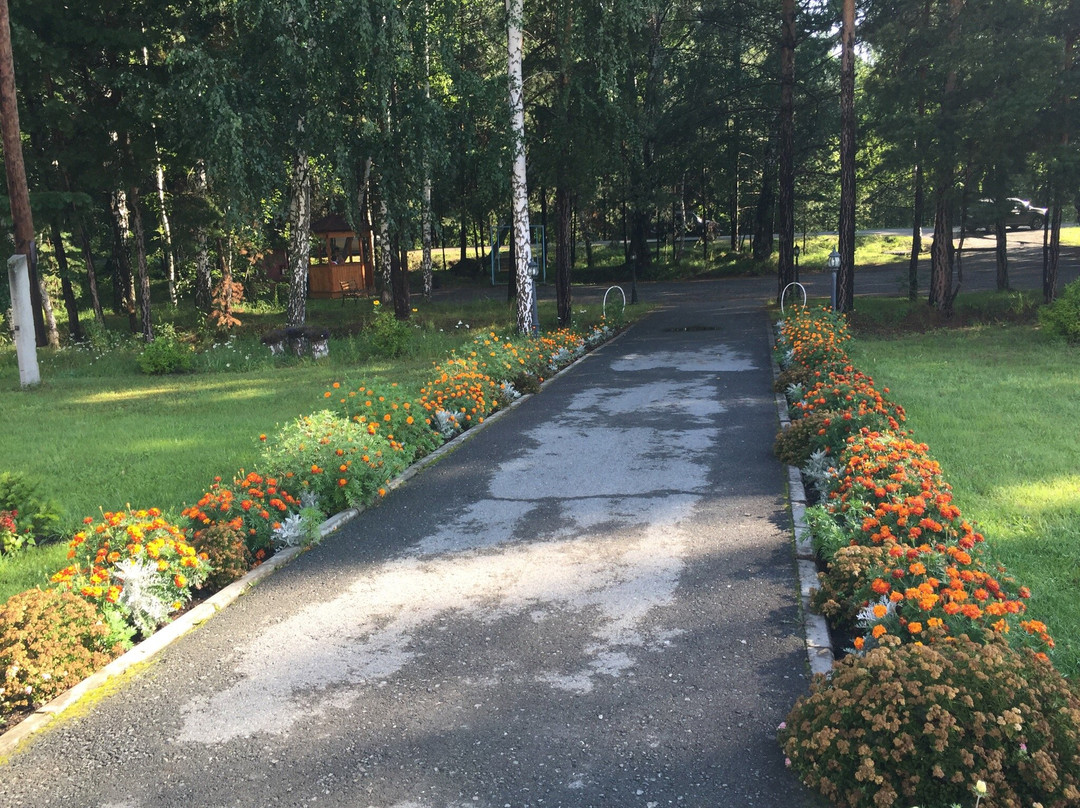 Lastochka