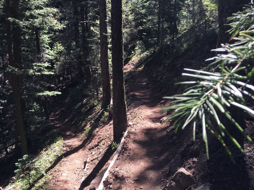 Pino Canyon-Tijeras必去景点