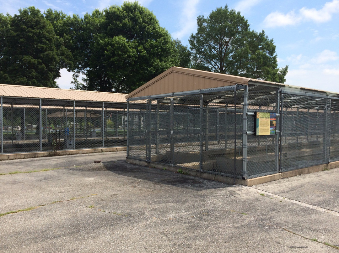 Neosho Federal Fish Hatchery-Neosho必去景点