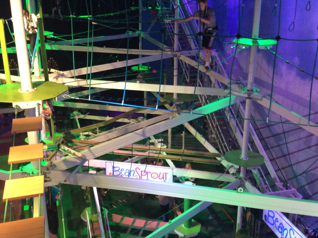 Beanstalk Adventure Ropes Course-Reading必去景点