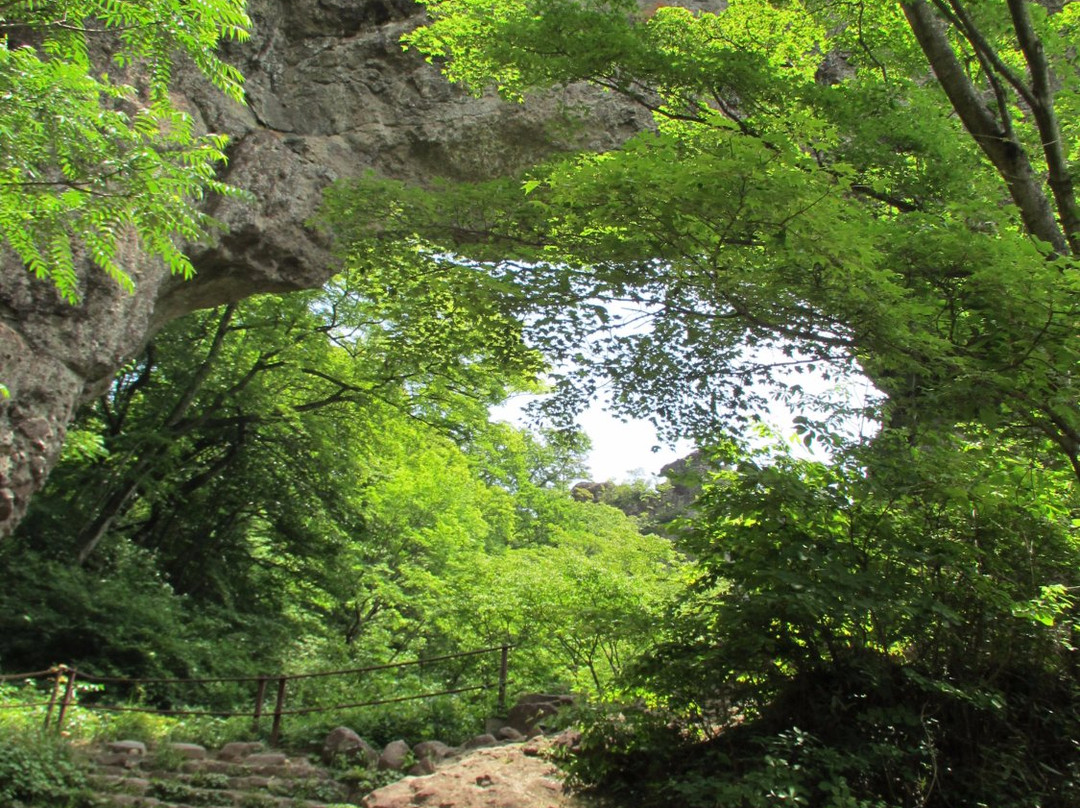 Myogisan Sakura no Sato景点图片