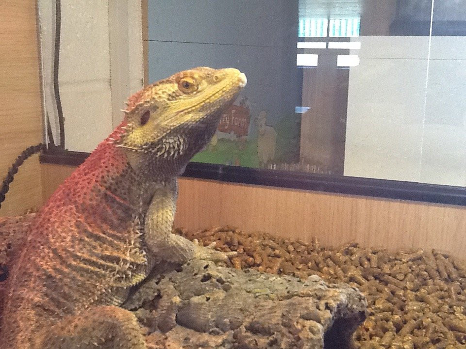 Paradise Found Educational Farm Park-Sapcote必去景点