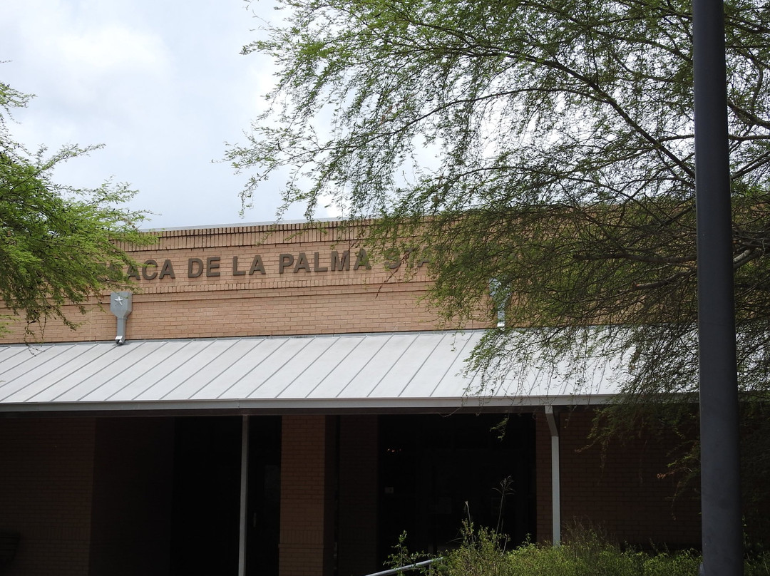 Resaca de la Palma State Park-布朗斯维尔必去景点