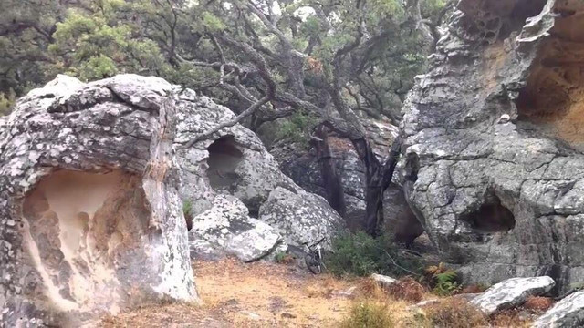Mundo Posibilidades Ocio & Actividades-Los Barrios必去景点