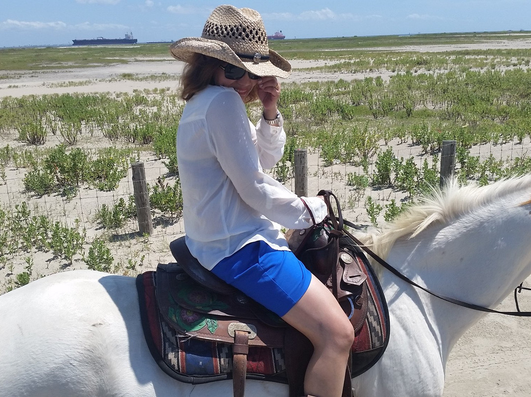 Galveston Island Horse & Pony Rides-加尔维斯顿岛必去景点