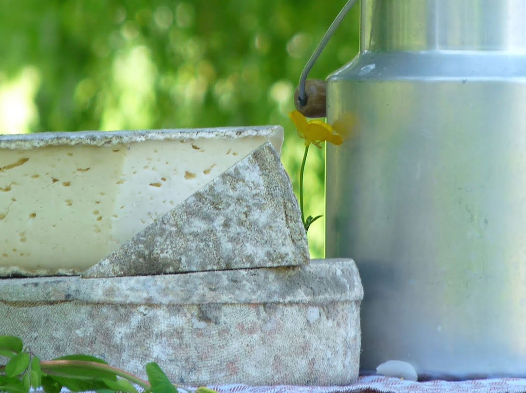 Fromagerie Vaumadeuc景点图片