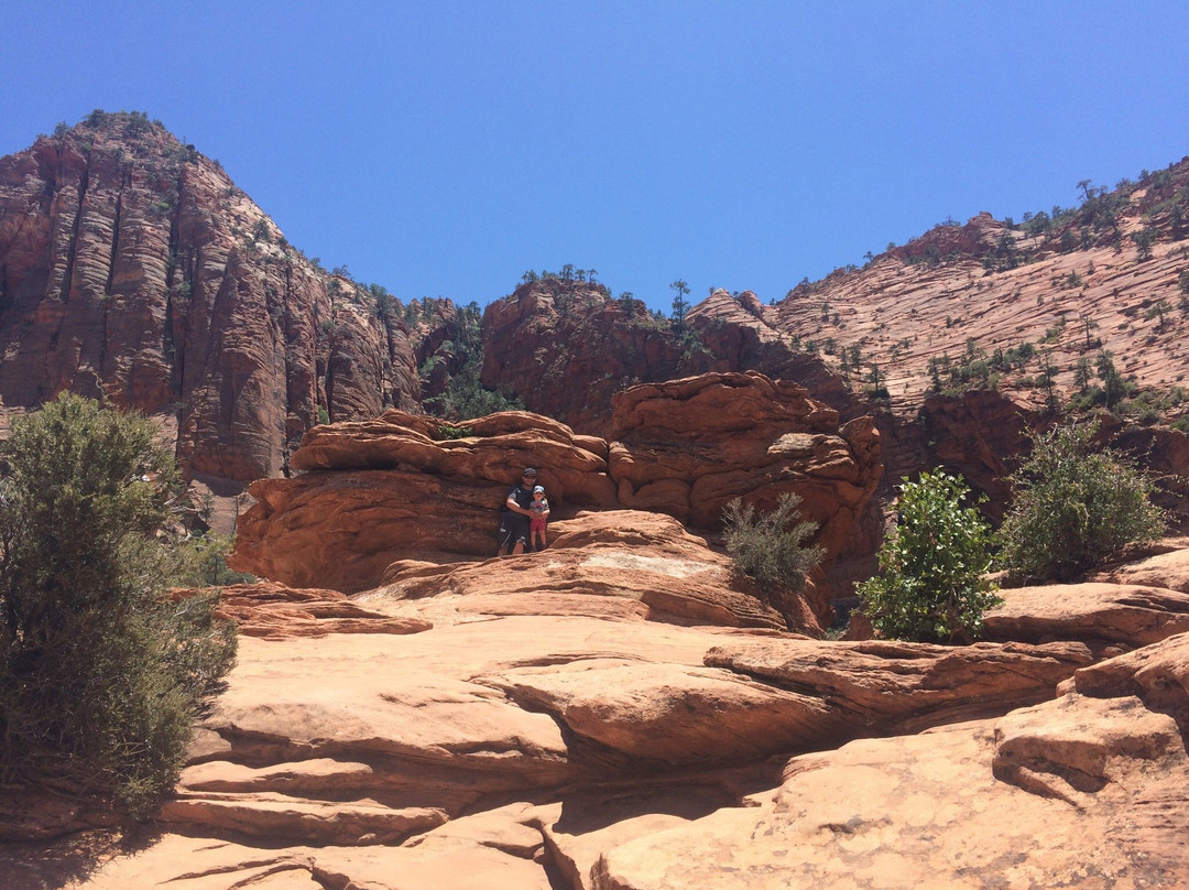 Clear Creek Overlook-锡安国家公园必去景点