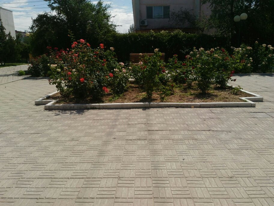 Hotel Zelenaya主图