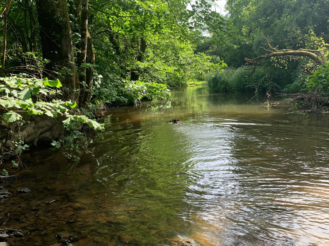 Lakemoor Devon