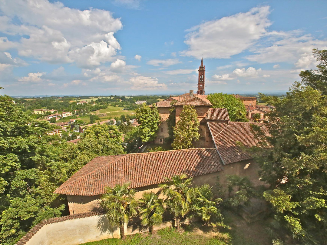 Palazzo Bricherasio di Fubine景点图片