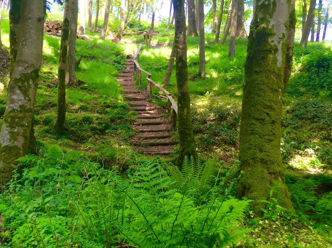 Hunting Brook Gardens-Blessington必去景点
