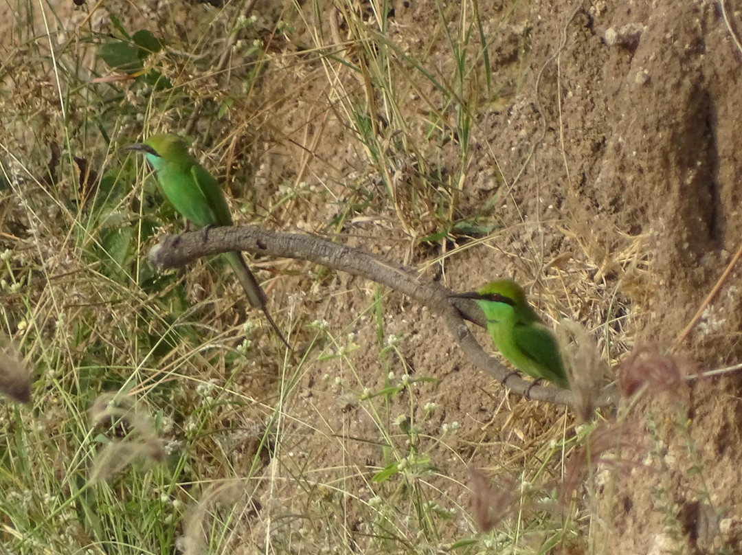 Nyara River-杰拉果德必去景点