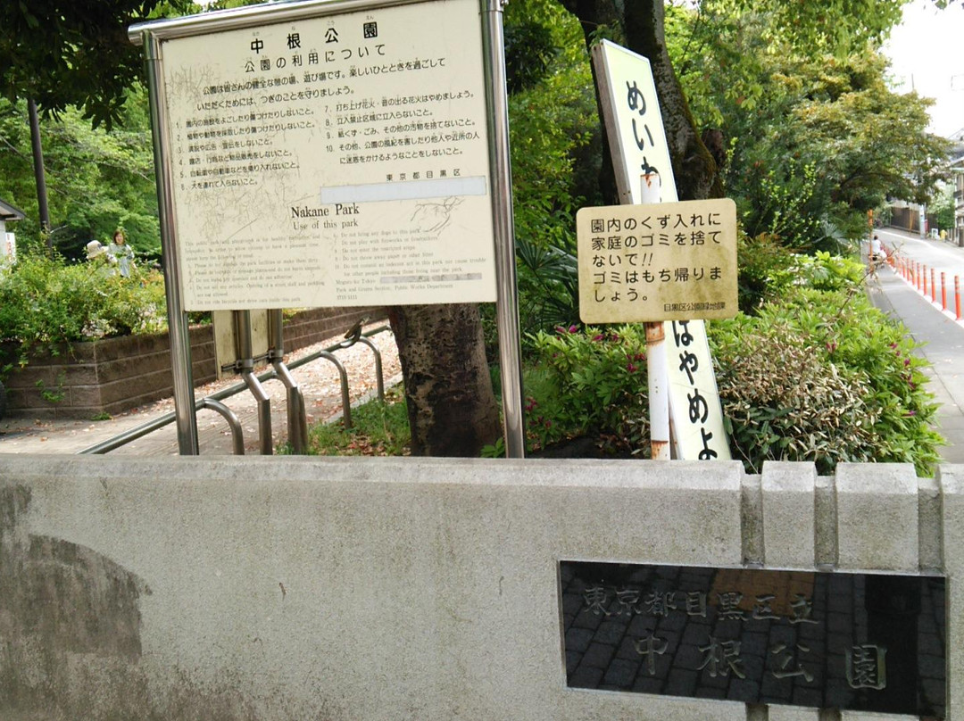 Nakane Park-目黒区必去景点