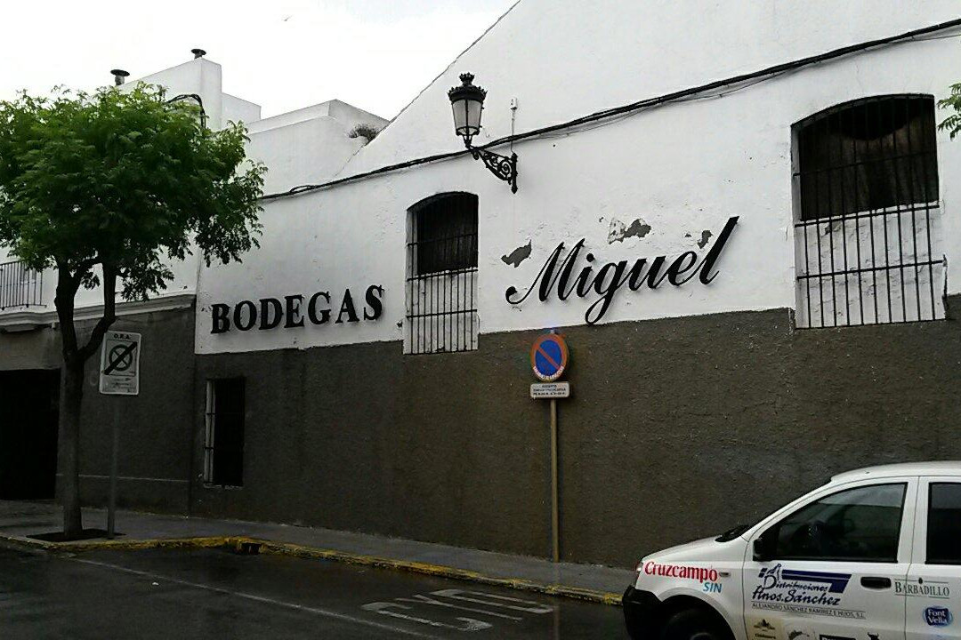 Bodegas Miguel Guerra景点图片