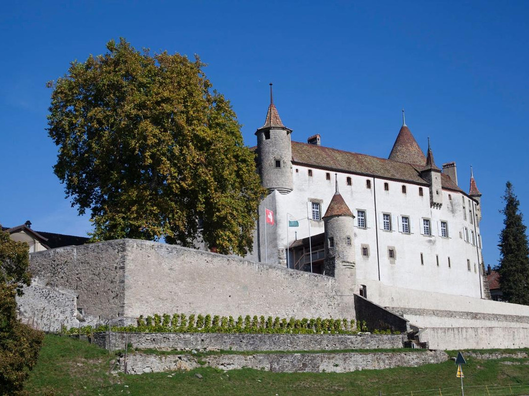 Chateau d’Oron景点图片