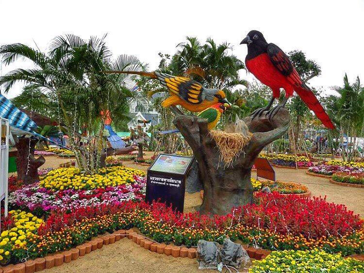 Chainat bird park-猜纳必去景点