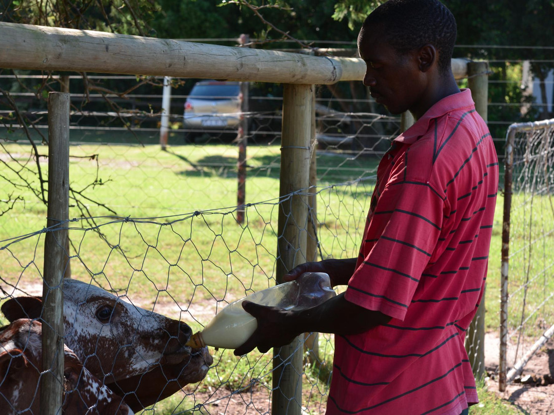 Thornhill Farm主图