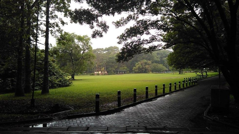 Kebun Raya Purwodadi-巴苏鲁安必去景点