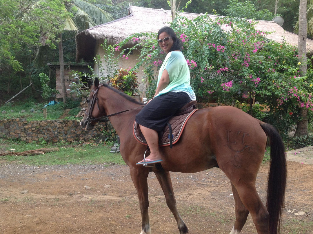 Kuta Horses-Kuta必去景点