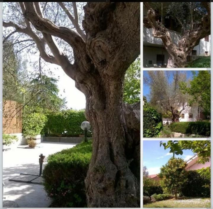 B&B Le Sorelle Gemelle主图