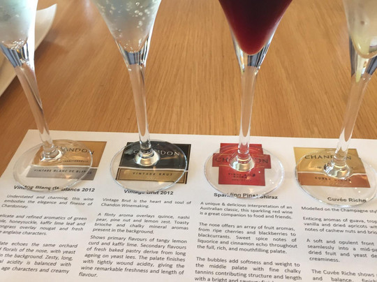 Mr. John Tours-墨尔本必去景点