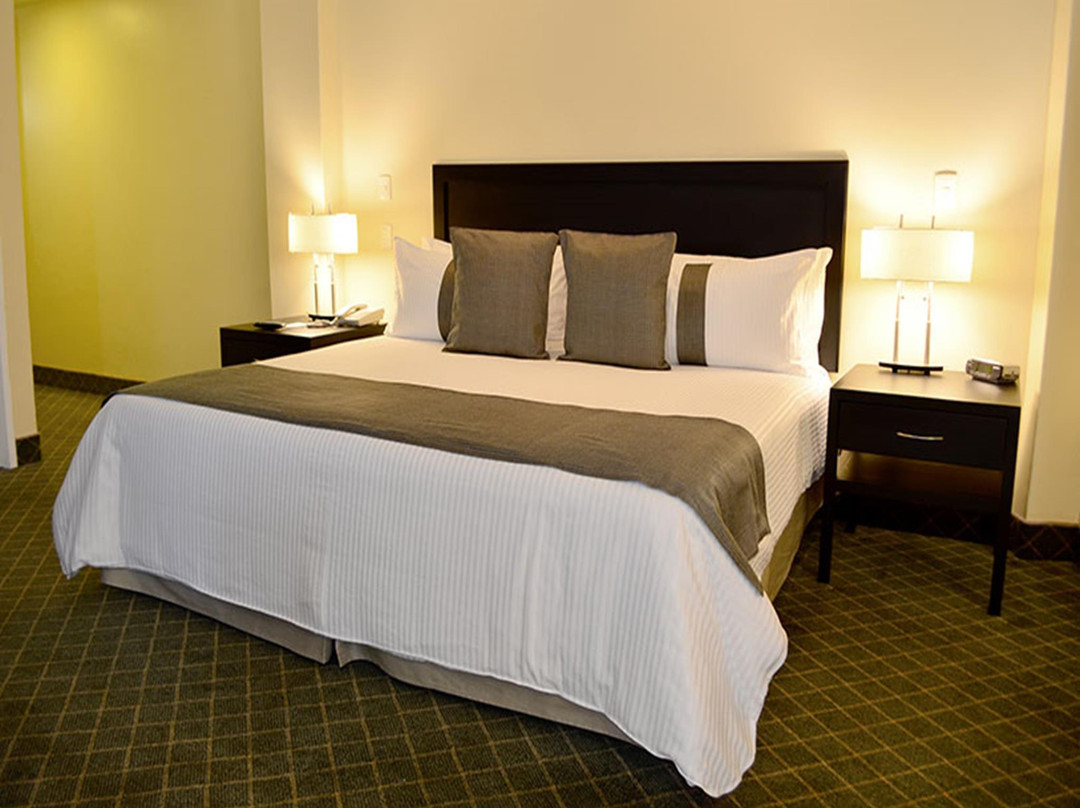 Hotel Misión Express Pachuca主图