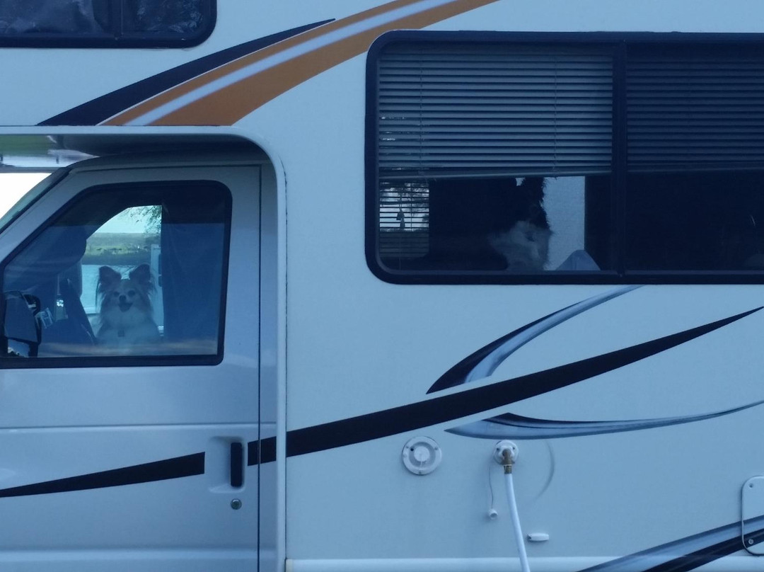 Jim Hogg Park-Georgetown必去景点