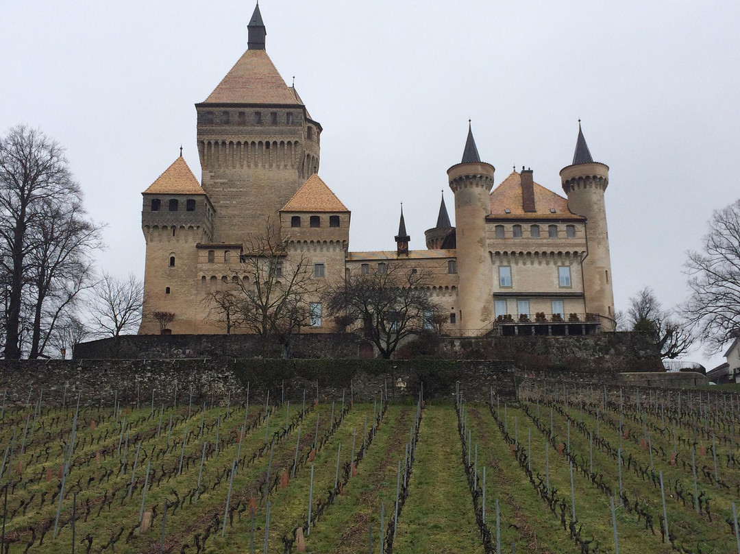 Apples旅游景点-Château de Vufflens