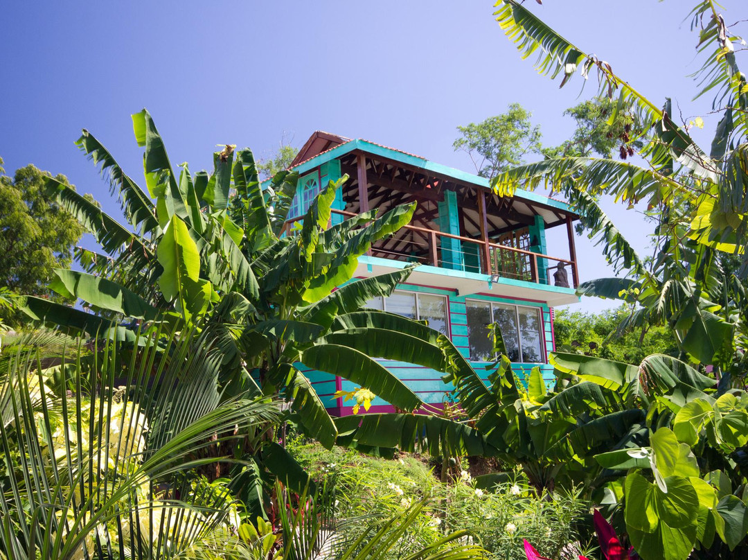 Sankalpa Yoga Studio-True Blue必去景点