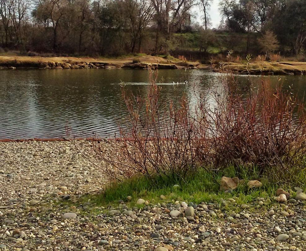 Ancil Hoffman Park-Carmichael必去景点