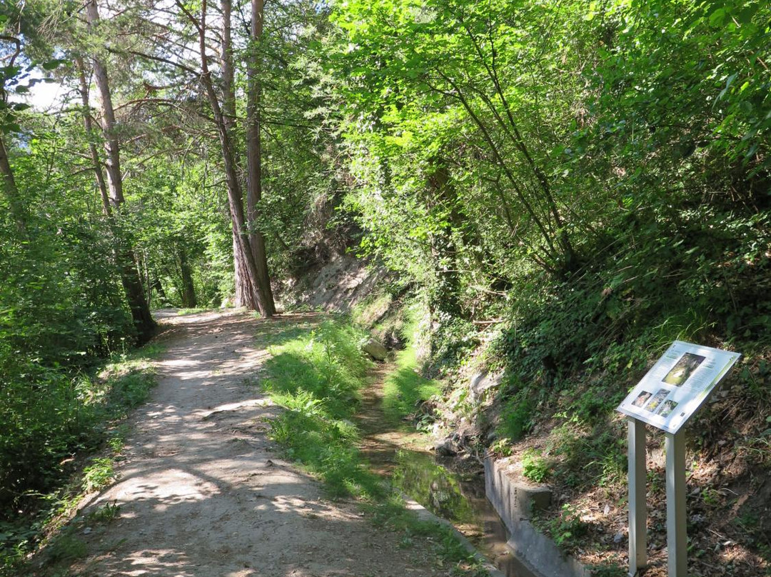 Vineyards Trail-谢尔必去景点