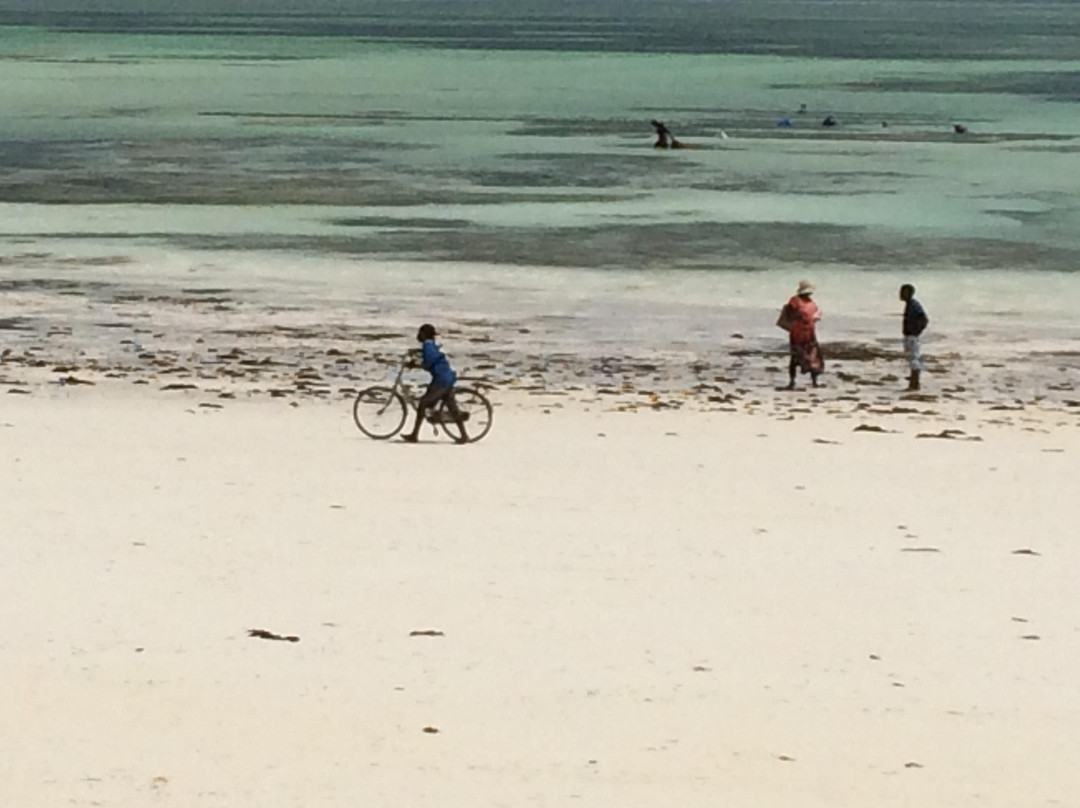 Super Safari-桑给巴尔岛必去景点