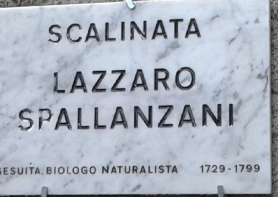 Le Scalinate - La Spezia-拉斯佩齐亚必去景点