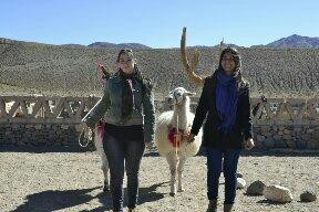 Paseo Con Llamas-San Antonio de los Cobres必去景点