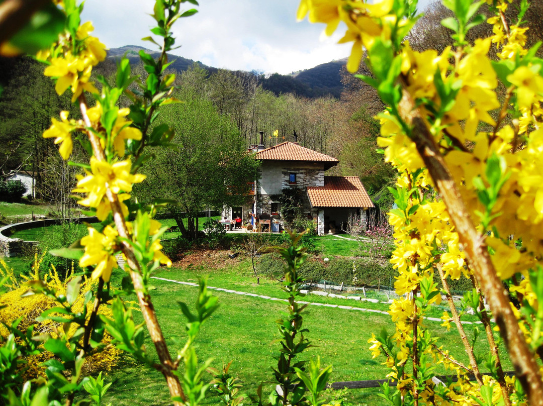 Madonna del Sasso酒店住宿-B&B Melizio