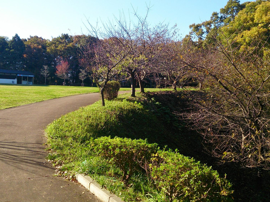Usui Castle Site-佐仓市必去景点
