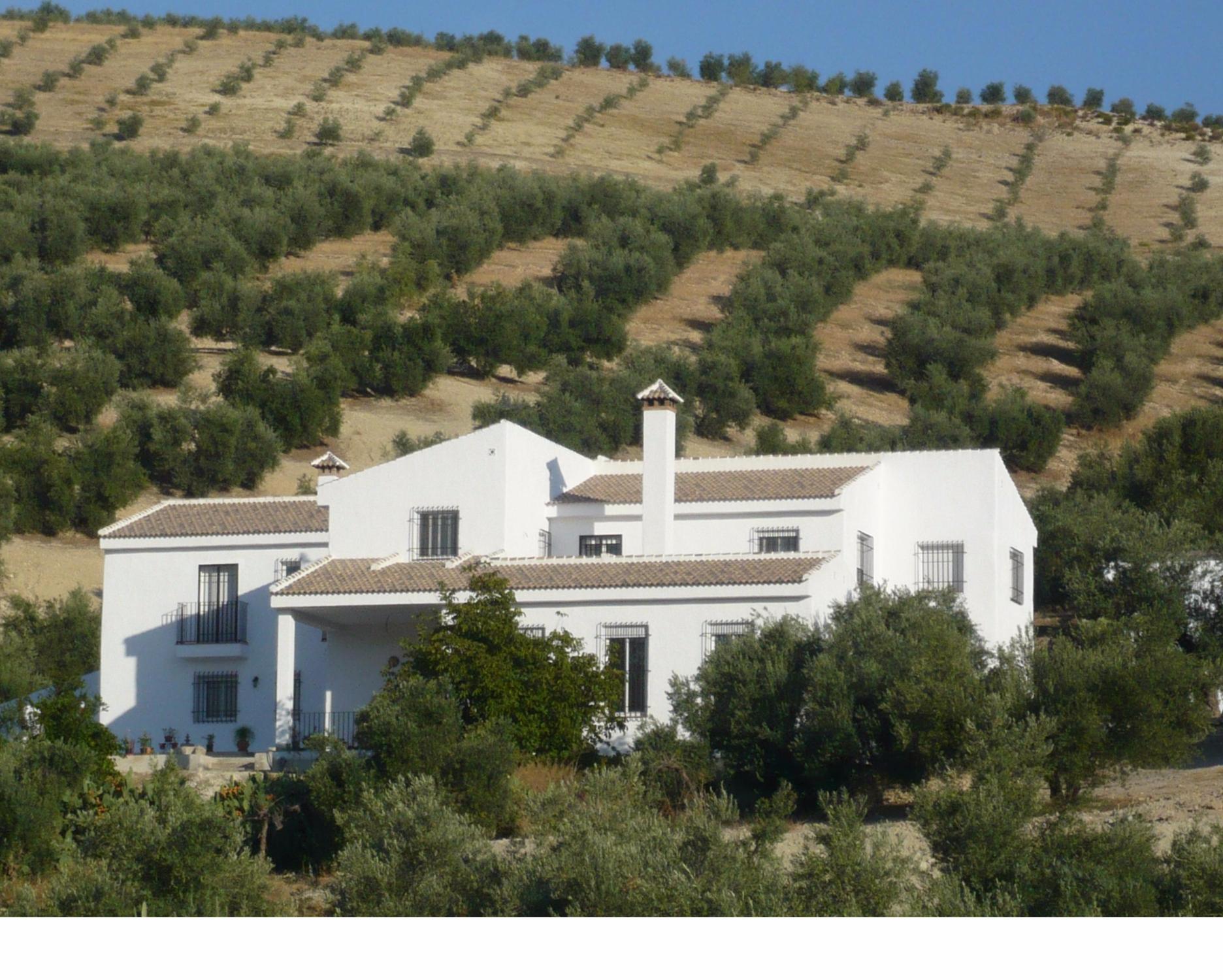 Cortijo Las Montoras-浴室