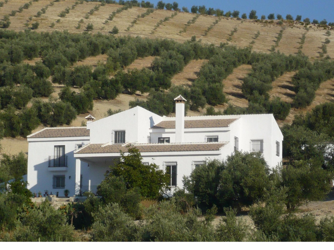 Moraleda de Zafayona酒店住宿-Cortijo Las Montoras