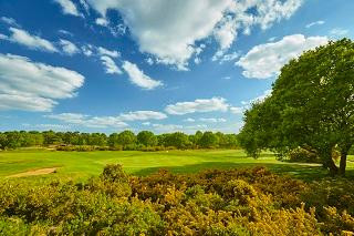 Woodbridge Golf Club-Woodbridge必去景点