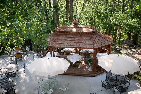 The Ginkgo Tree主图