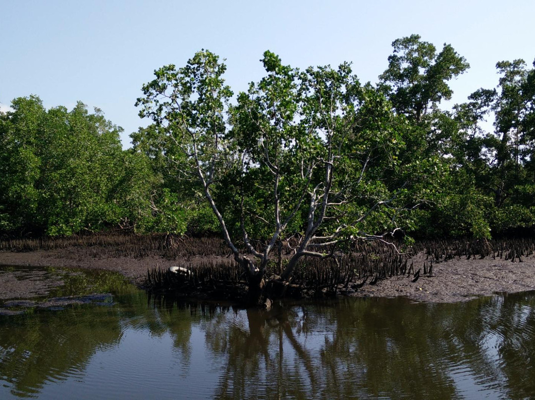Lake Wasti-曼诺瓦里必去景点