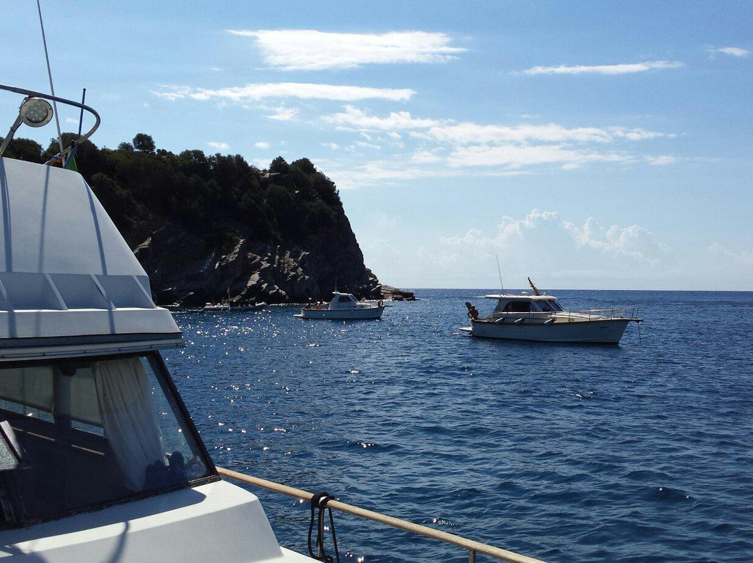 Isola Gallinara Tour-Andora必去景点