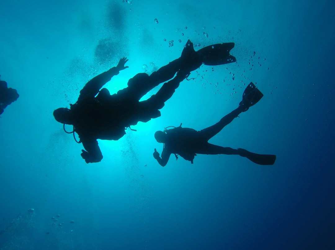 Techno Diving Lanzarote-卡门港必去景点