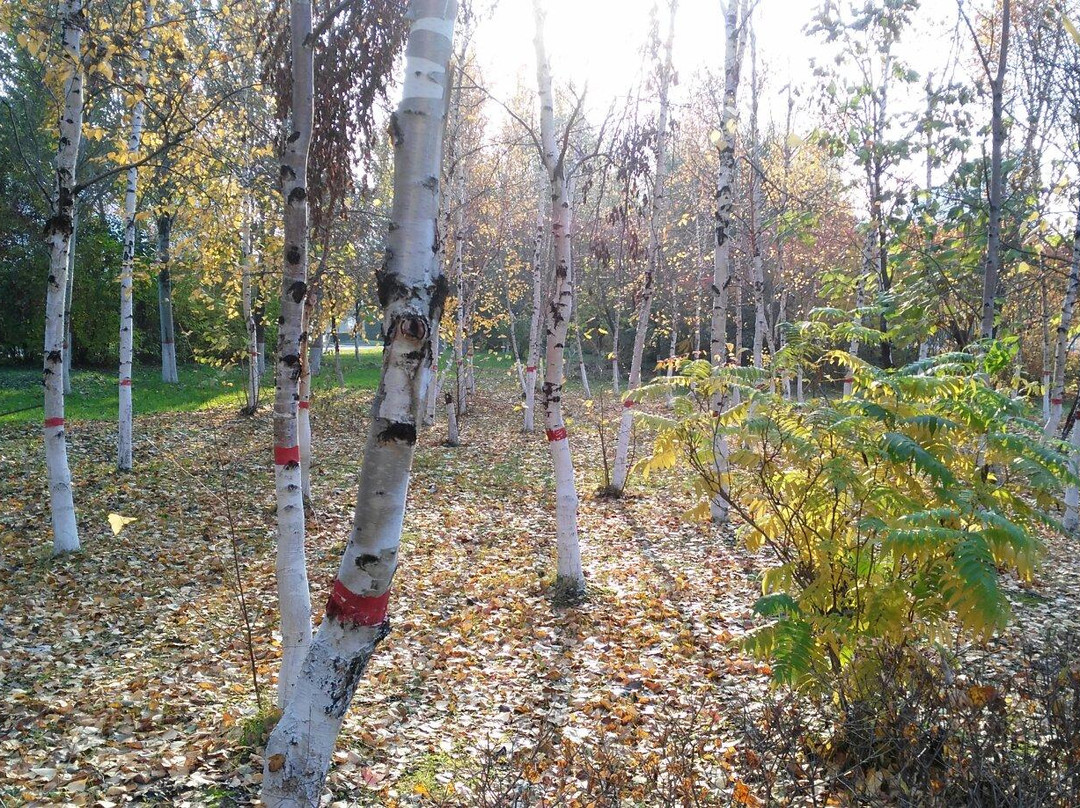 马可波罗商务酒店主图