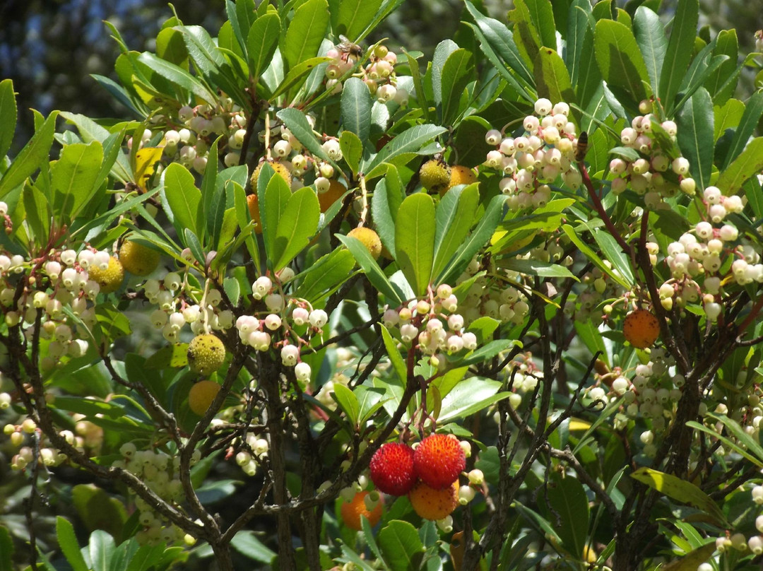 Studio Naturalistico Diatomea-塞尼加利亚必去景点