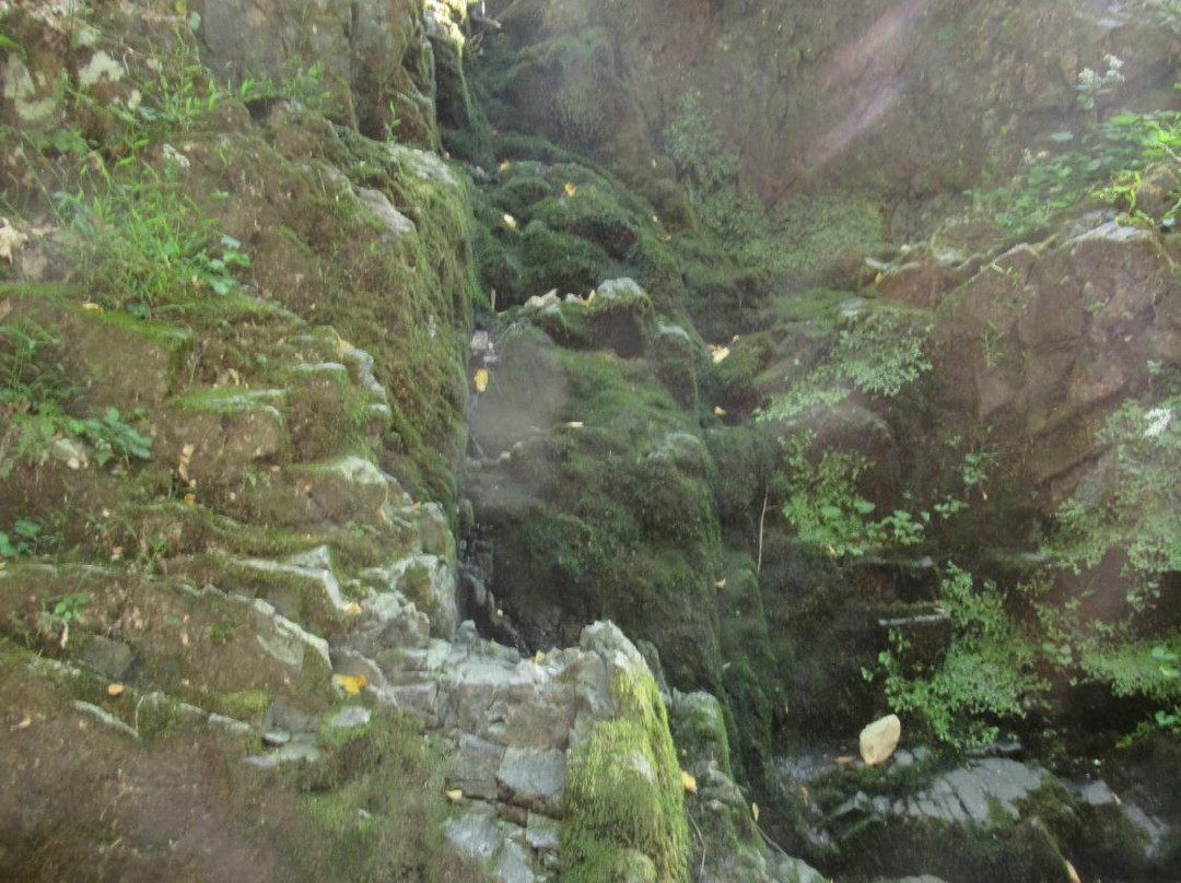 Fitzgerald Falls-Monroe必去景点